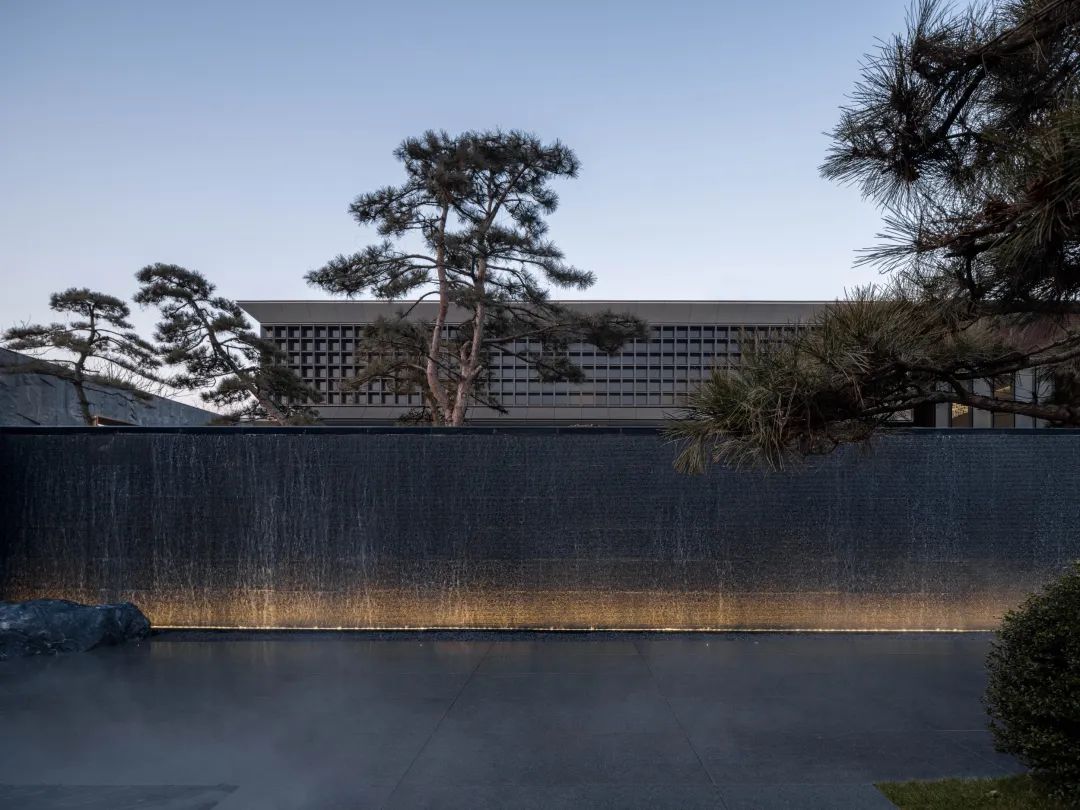 松树的文化内涵和精神品质,松树给人什么样的美感