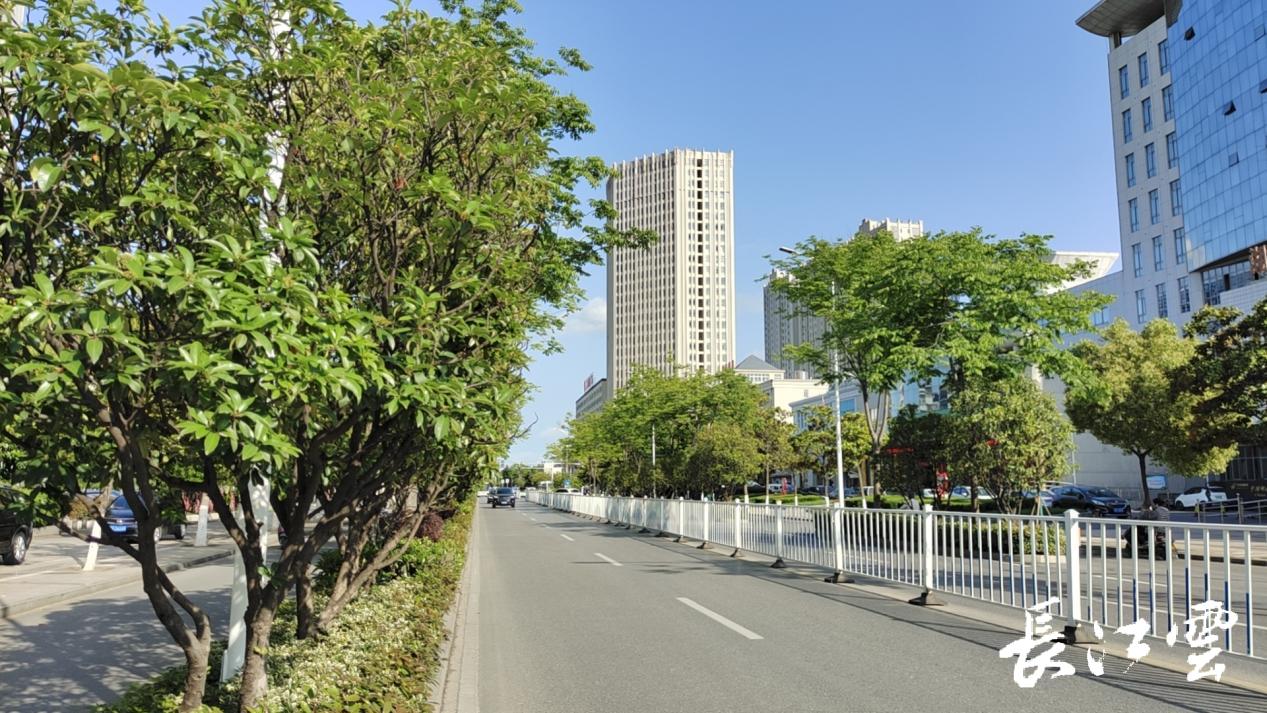 离谱的金币彩票,离谱彩票中奖