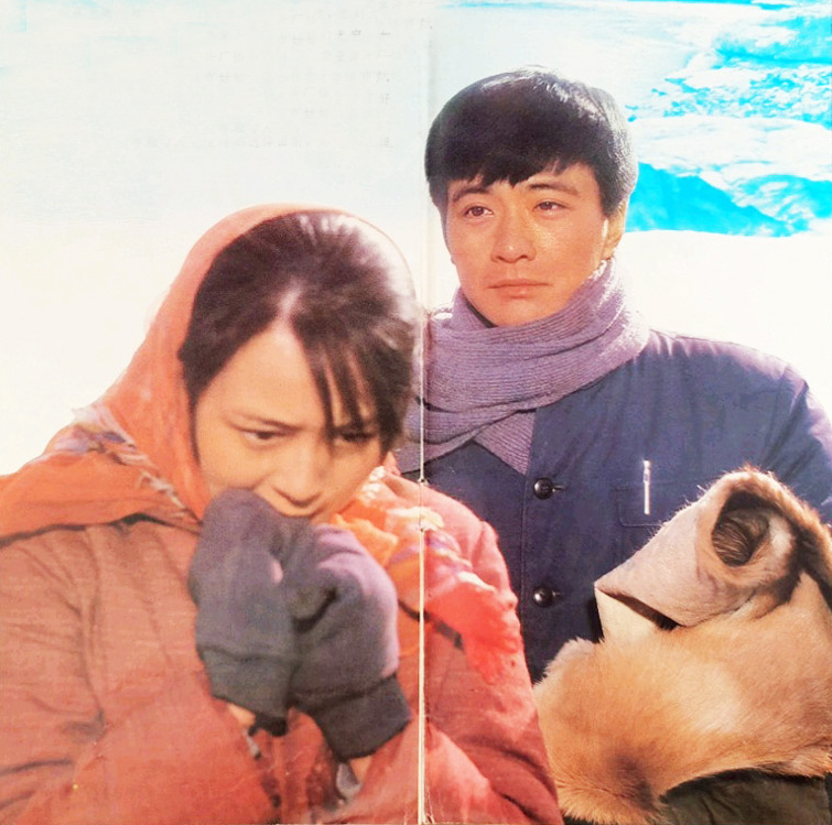 经典真实的庐山恋电影,庐山恋经典爱情电影