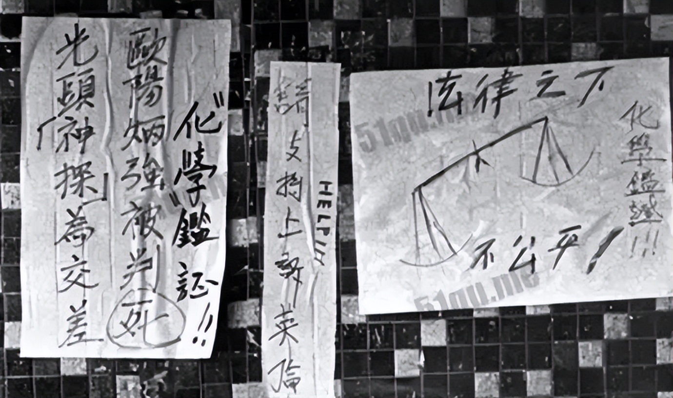 连续杀人案真实案例,恶性杀人案真实案例