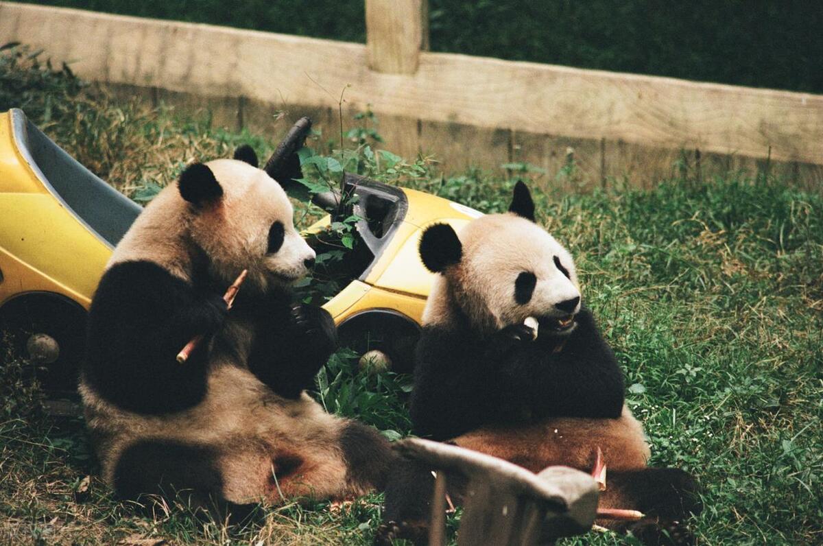 重庆游玩必去十大景点,重庆武隆十大冷门景点