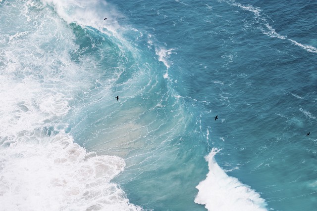 从中华传统文化中汲取智慧的事实,从古人的智慧里你学到什么