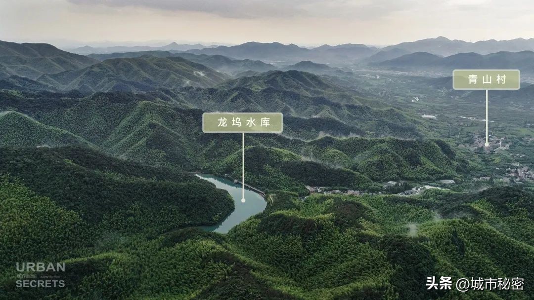 这个被赵露思带火的杭州小乡镇究竟有什么魅力？引来无数网友打卡