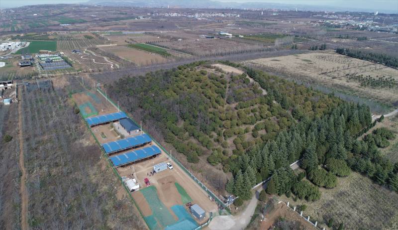 汉文帝霸陵考古挖掘现场在哪,汉文帝霸陵考古工作