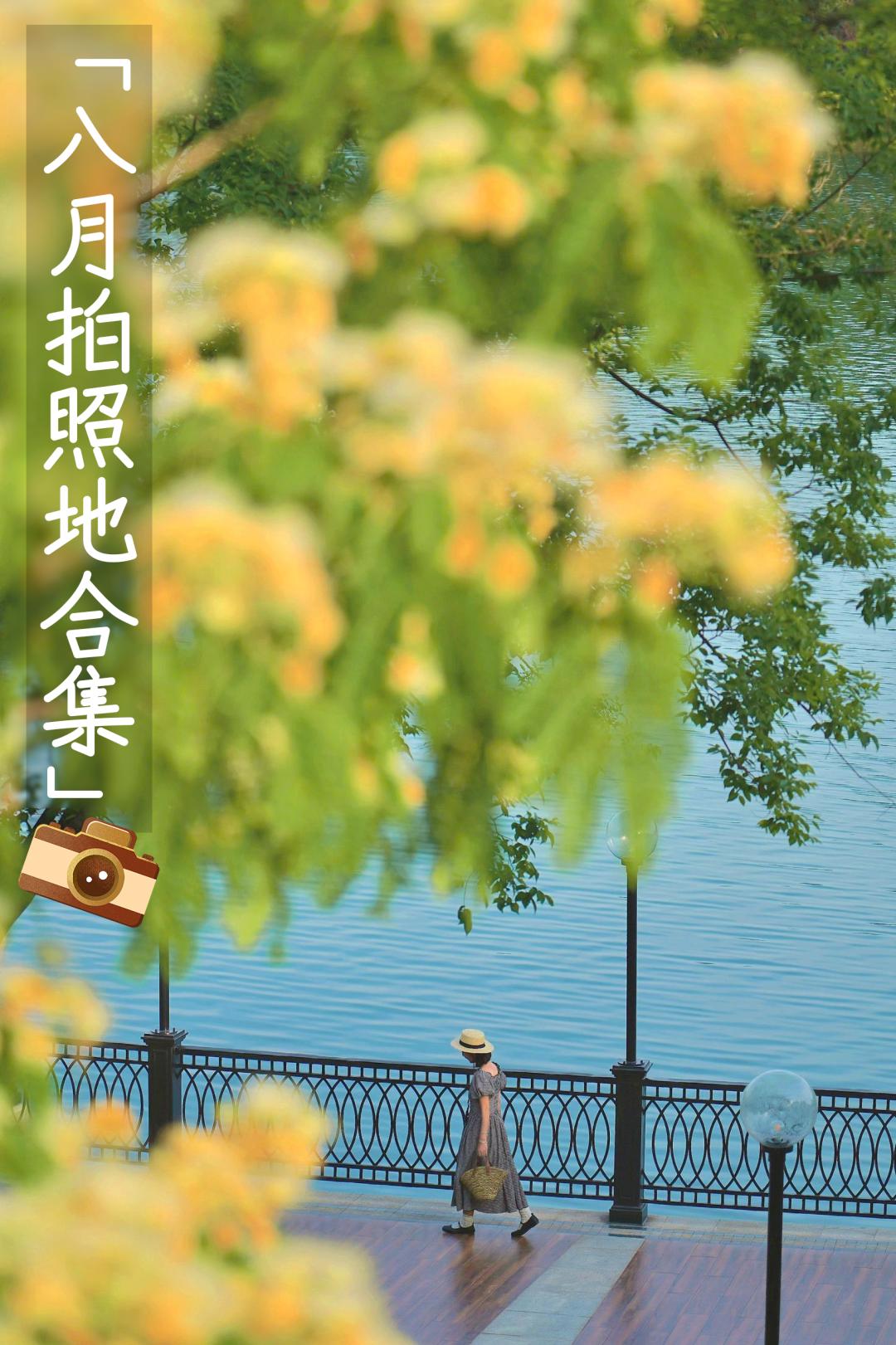 成都秋季拍照地,成都拍照打卡地推荐5月