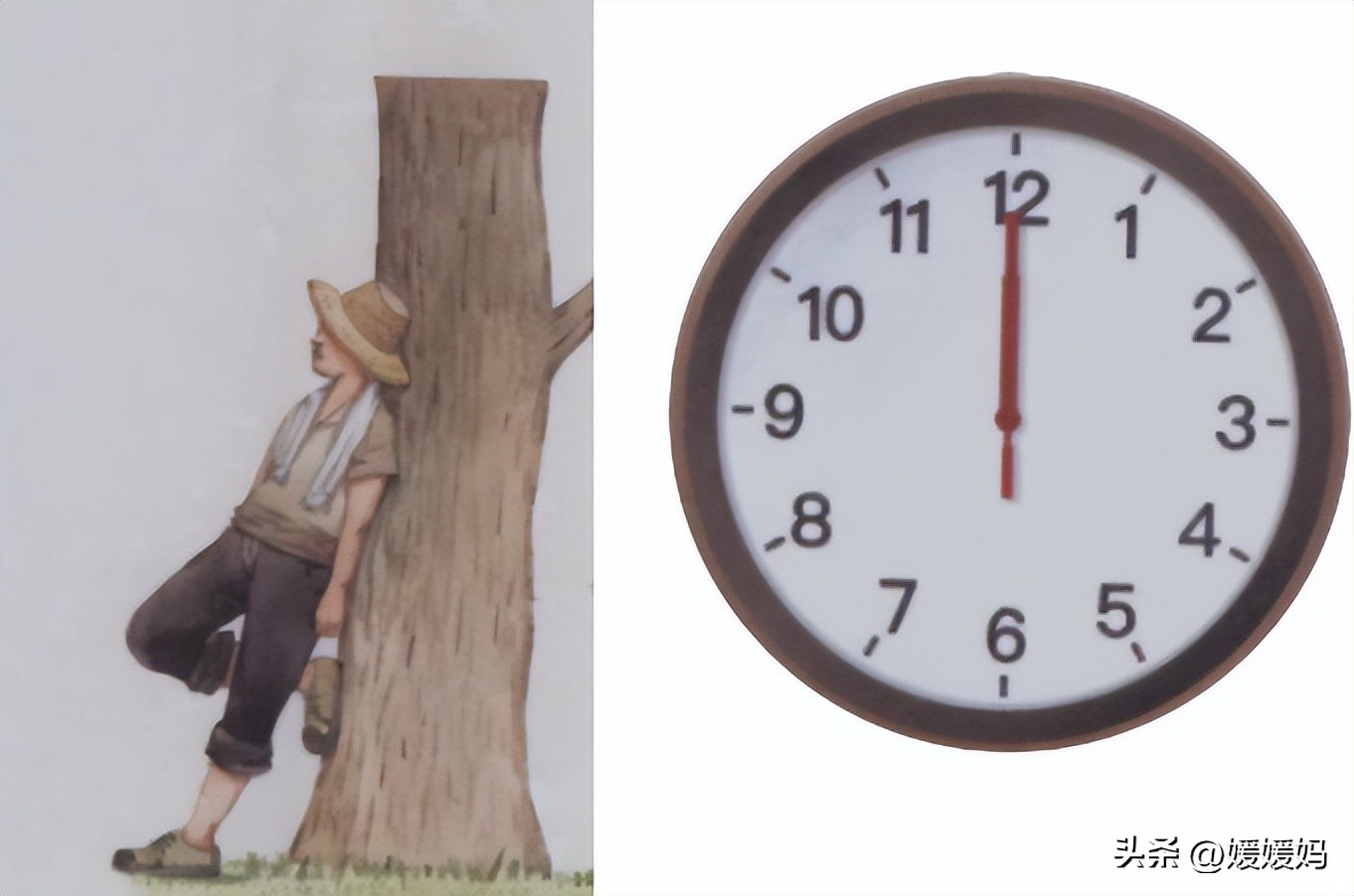 语文五年级下册三单元知识点总结,语文下册五年级第三单元知识梳理