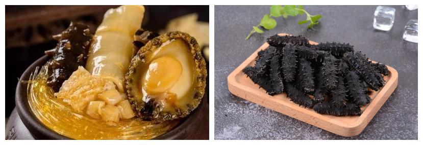 北极海参和辽参哪种价格高,辽参鲜海参500克价格表