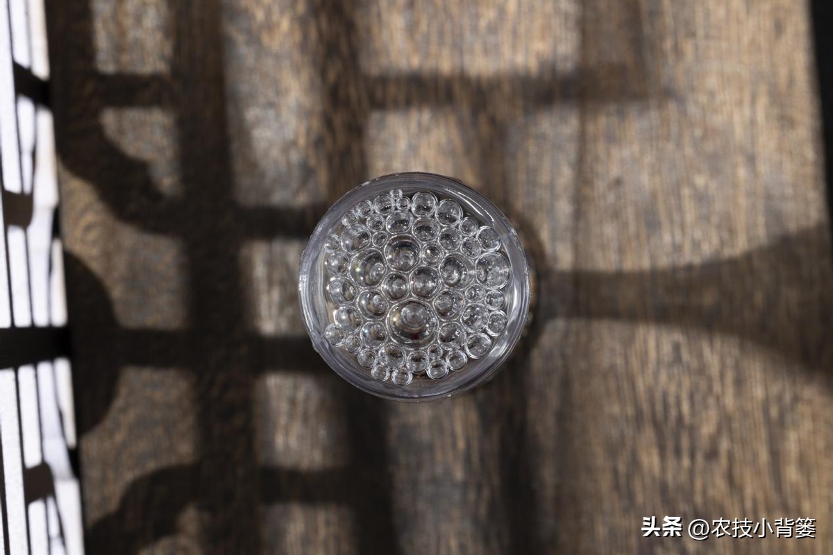 三伏天喝点白酒好吗,临近三伏天该喝啤酒还是白酒好