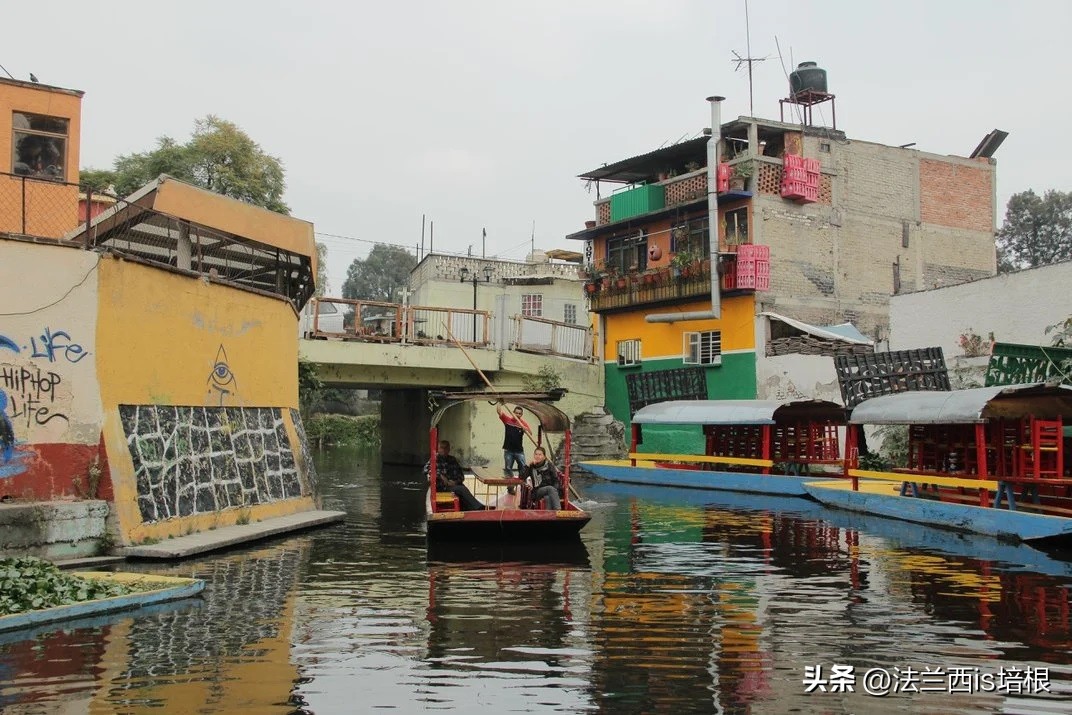 广州海关截获“六角恐龙”,花鸟市场50元6条,难道是濒危物种?