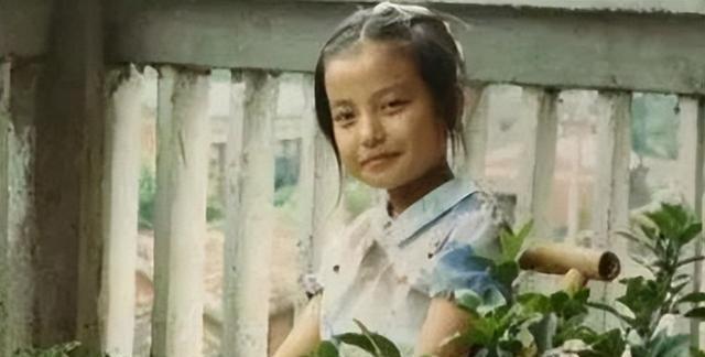 赵薇叛国罪,赵薇涉黑涉恶