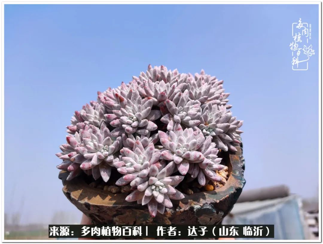 活在当下珍惜眼前平凡的生活,活在当下感慨万千