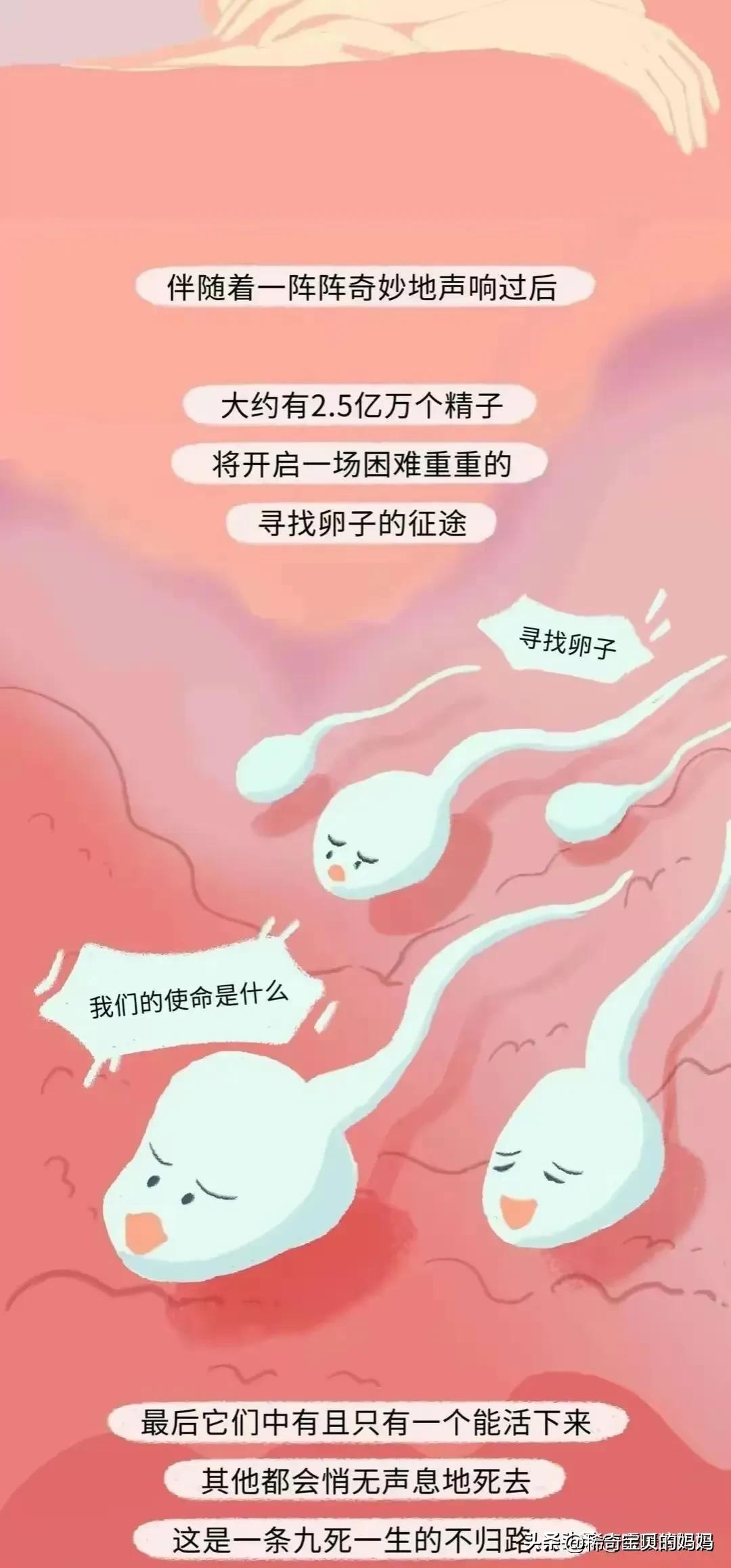 男生的“精子”进入女生体内，会发生怎样的变化？