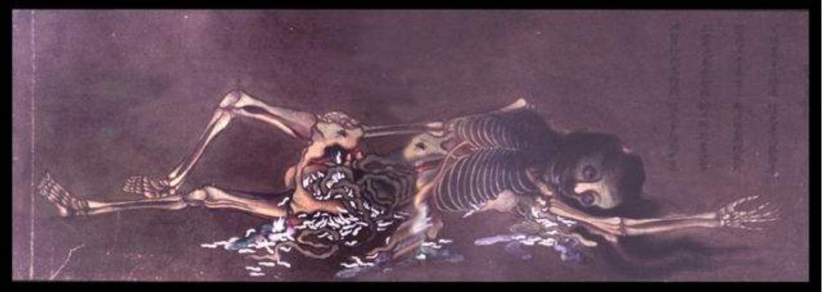 为什么人死后7天要回门,人死后复活的怪事