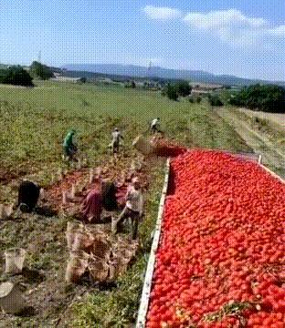 搞笑囧图：质数在生活中有什么作用？没有美女的行业是没有前途的