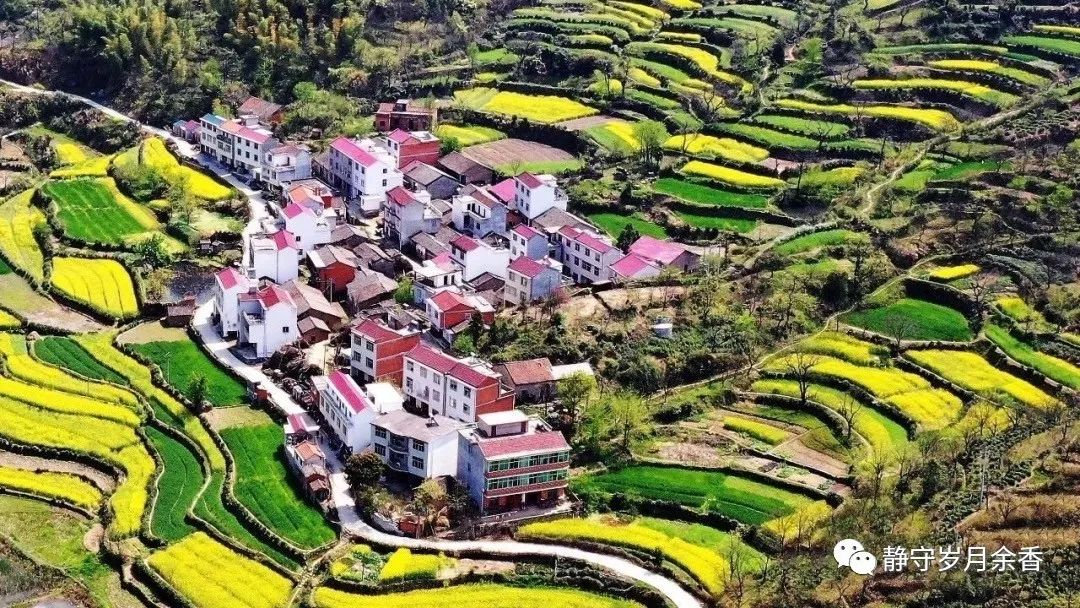 樱子视频大全,樱子挖野菜