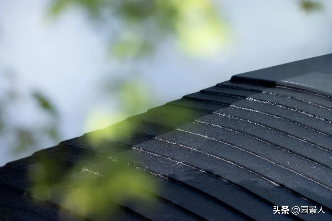 南山之北，理想生活追寻丨保利·麓谷林语