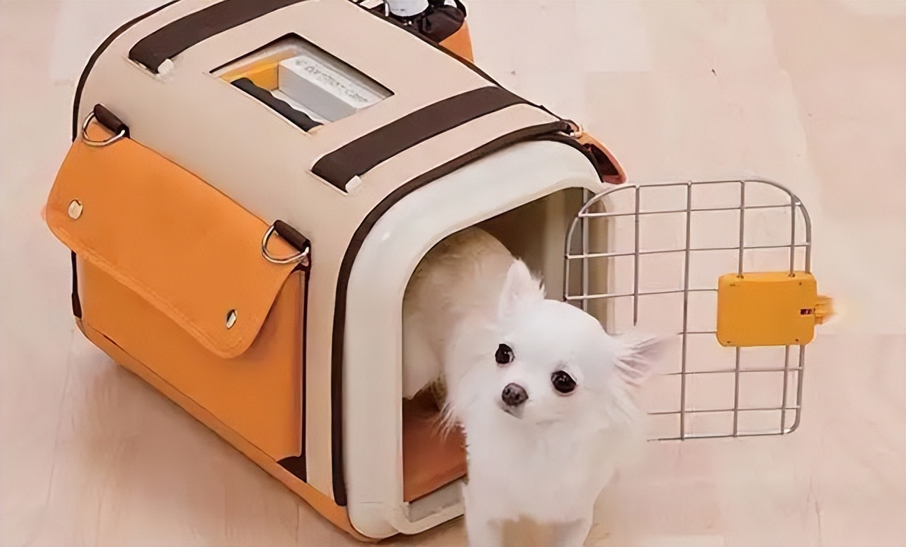 猫砂盆app开发,猫砂铲屎神器