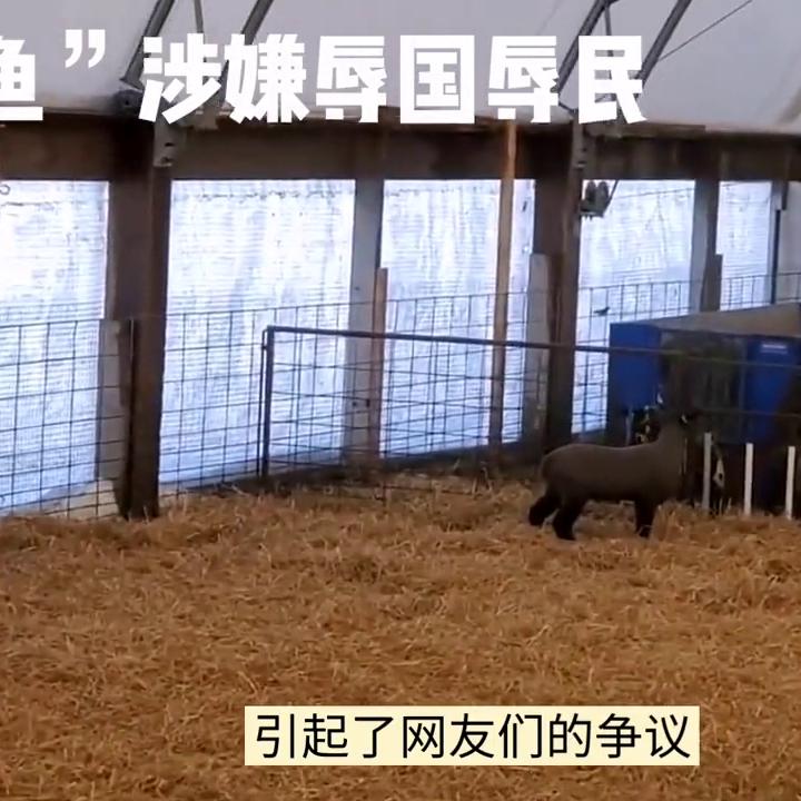 鲶鱼事件的看法,鲶鱼事件怎么处理