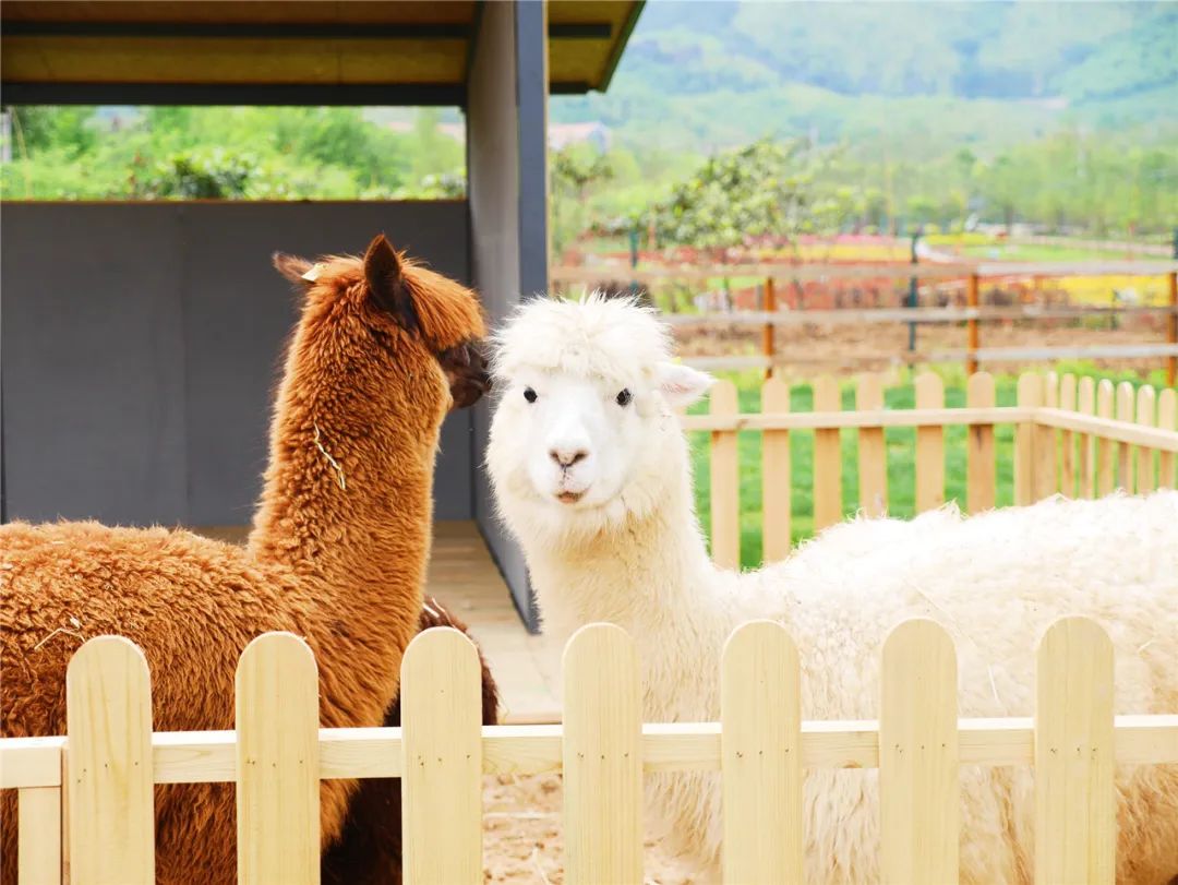 浙江小众海边旅游民宿,暑期必去度假民宿