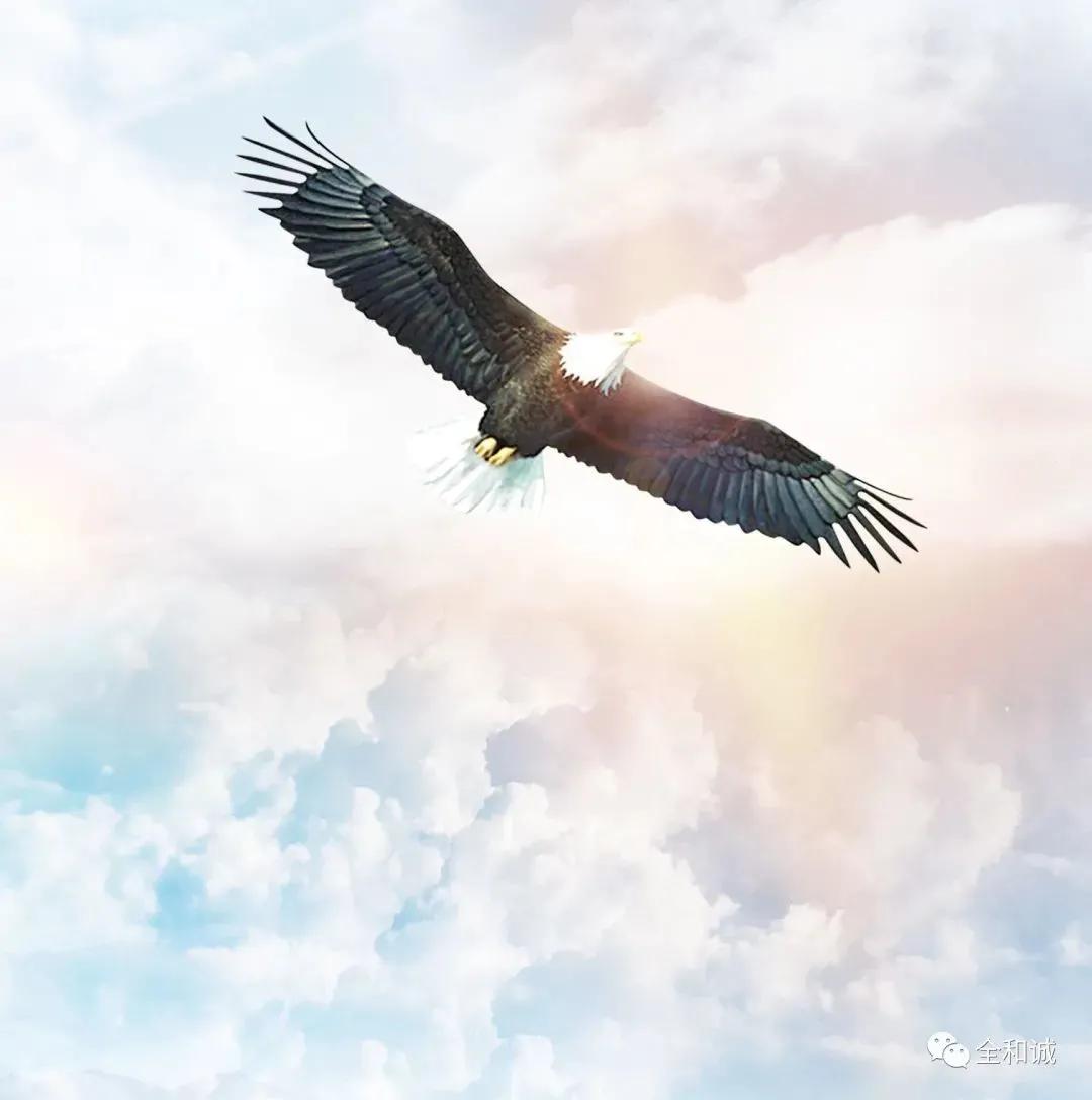 【泰精英】天津全合诚科技有限责任公司面向社会招聘人才