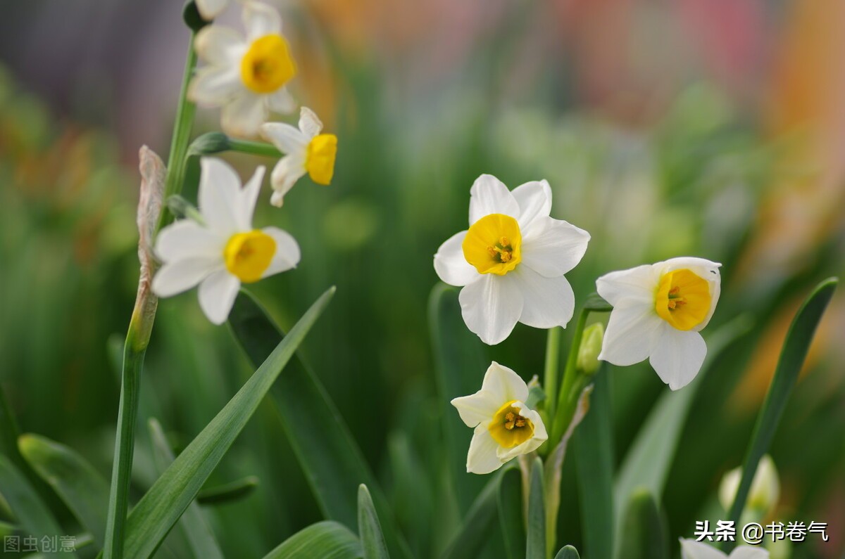 对你有好感的女生会接你语音吗,女人对你有好感会说这三个话