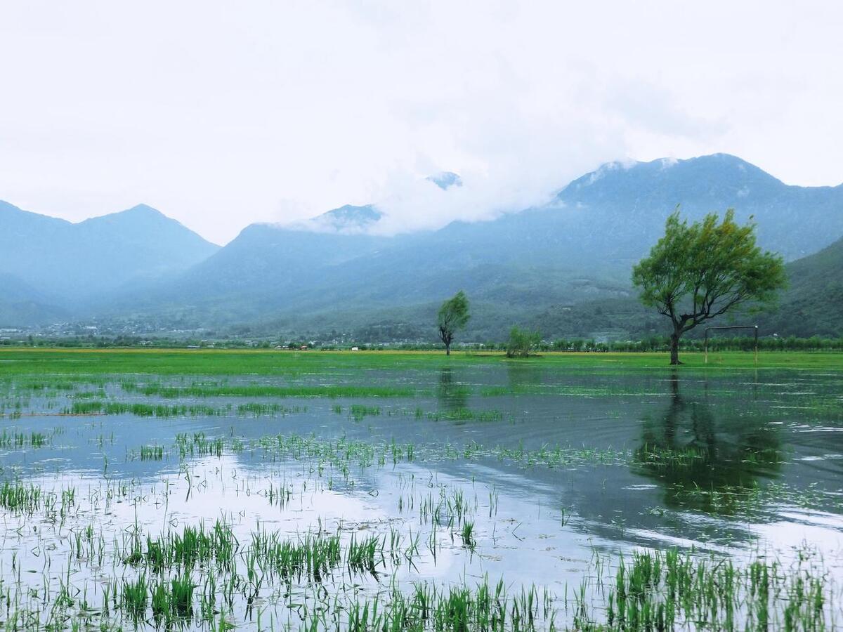 丽江旅游必去的地方景点排名前十,丽江旅游攻略必去景点最新