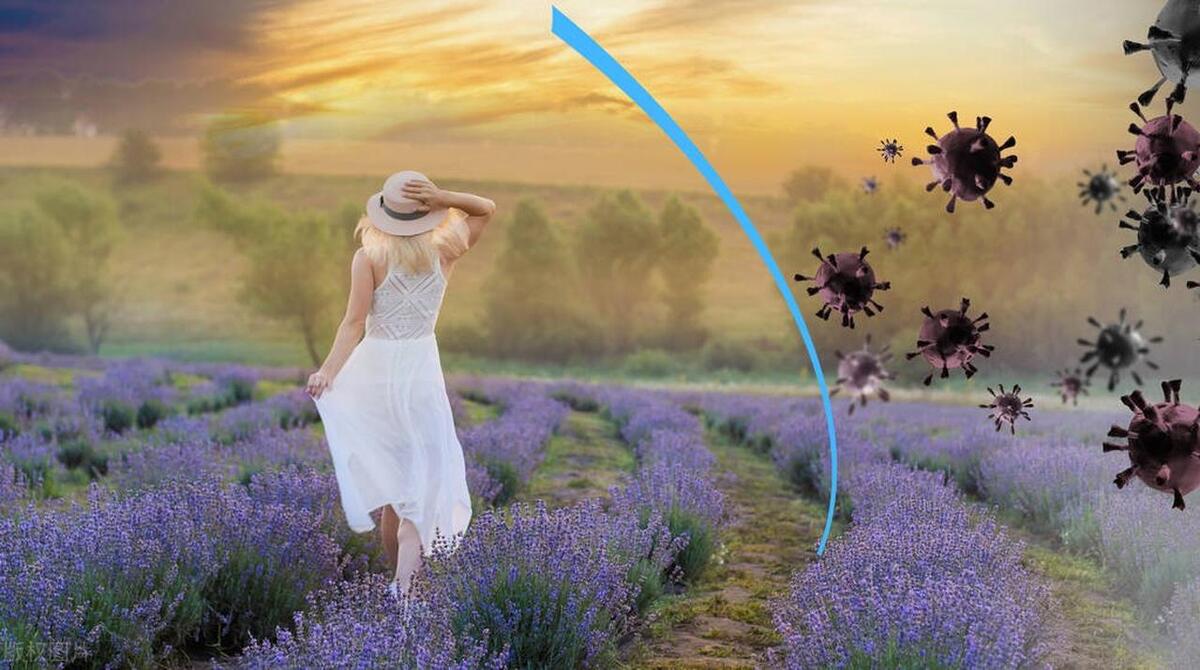 补充蛋白质可以预防掉发吗,补充蛋白质可以预防癌症吗