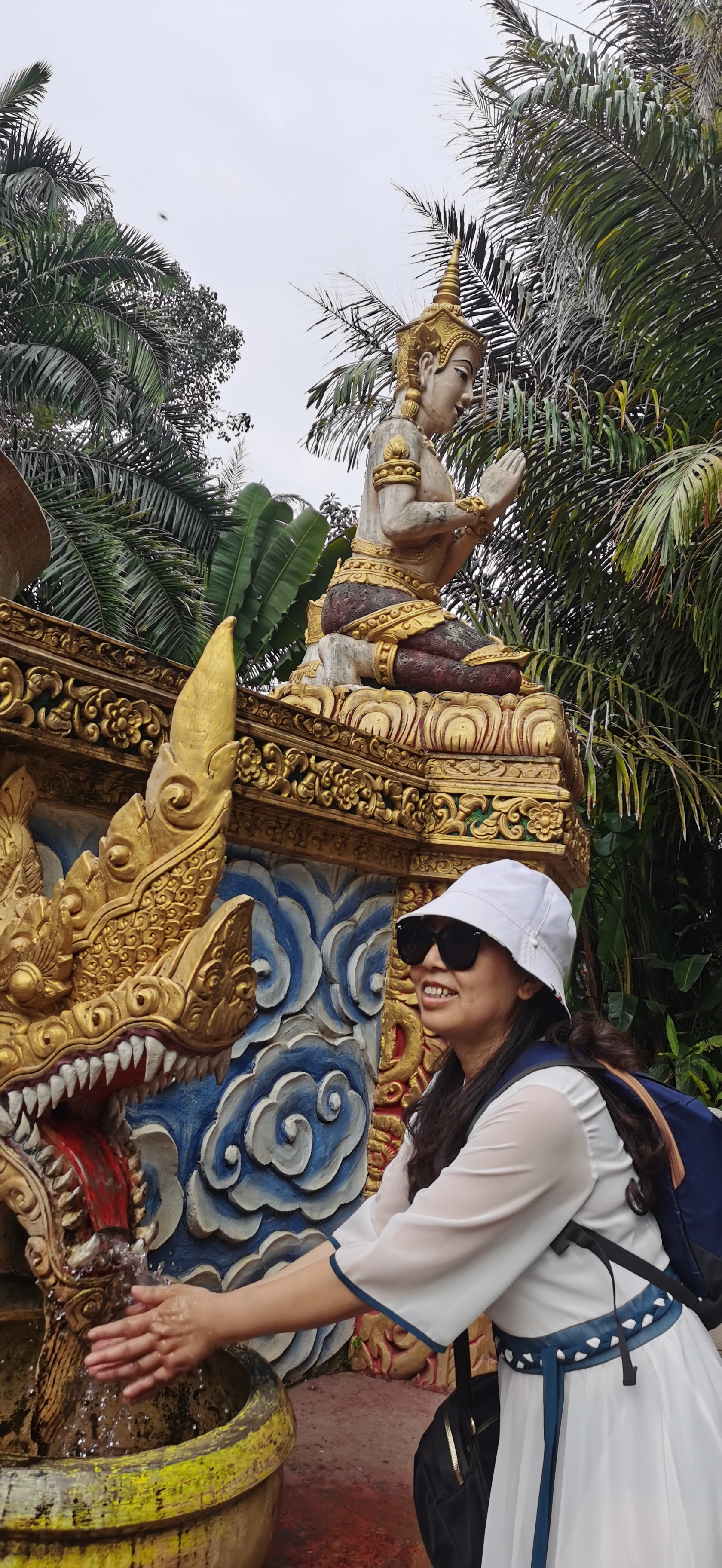 西双版纳曼听园攻略,云南西双版纳打卡曼听公园