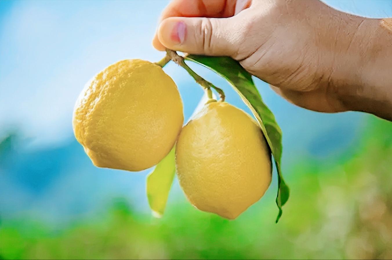 特殊时期补充维c,特殊时期吃点好吃的增加抵抗力