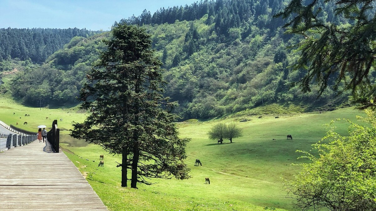 武隆仙女山两日游攻略自由行,武隆仙女山自由行攻略