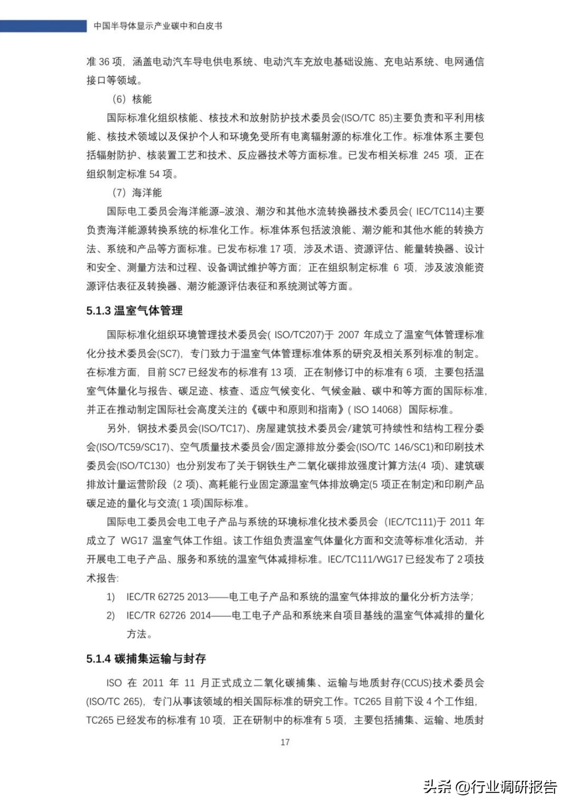 2022年中国半导体显示产业碳中和白皮书