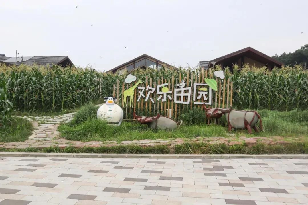 成都市区现实版桃花源记在哪里,成都公交可达的古镇