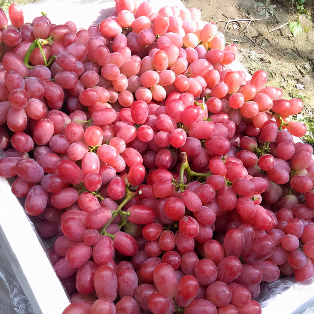 孕妇胃烧心是胎儿长头发？其实是因为这2点，缓解方法都告诉你了