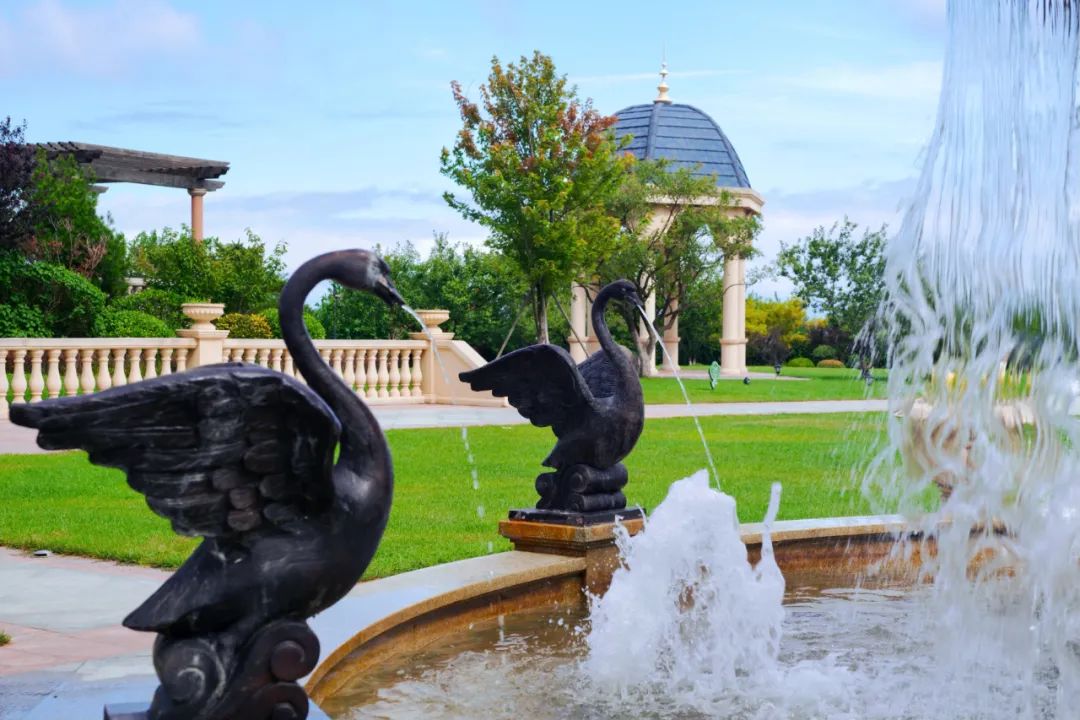 大连旅游住海景房,大连住哪里方便且海景美丽