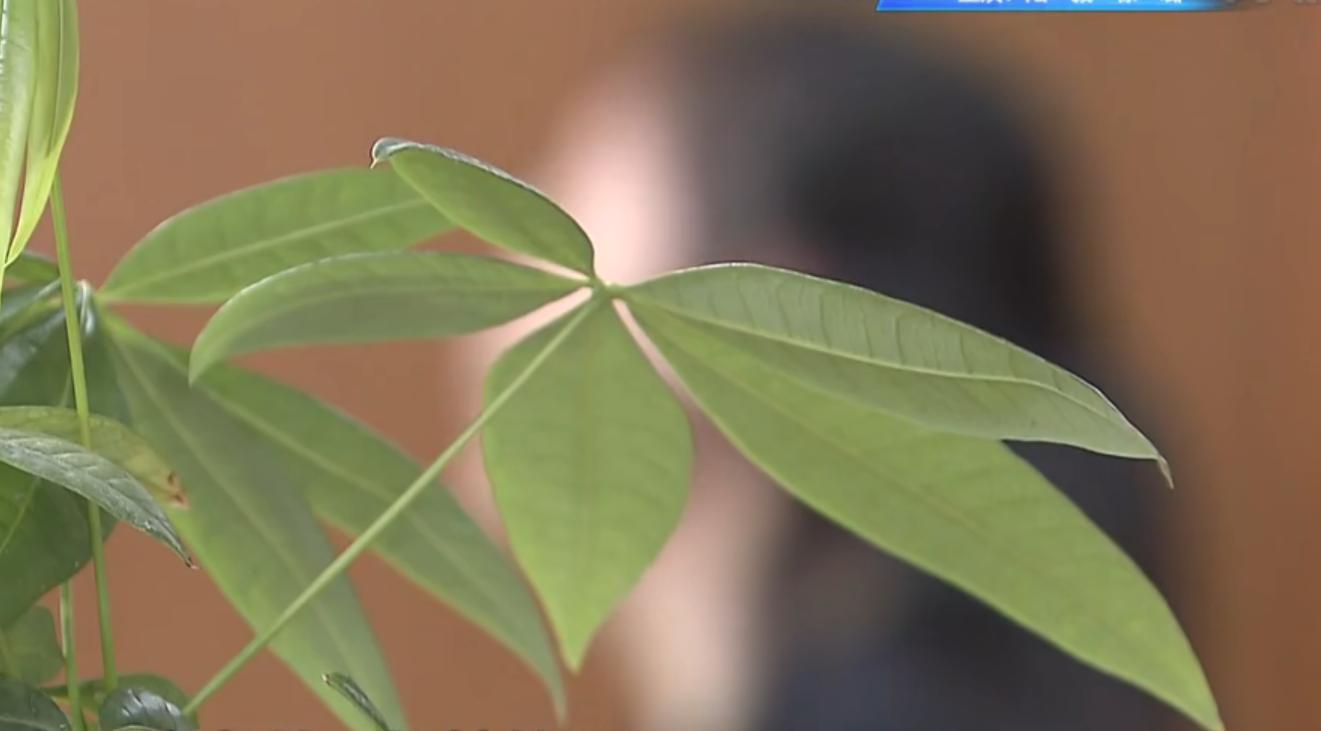 拆二代痴迷买房全集,拆二代赌博败了三四千万