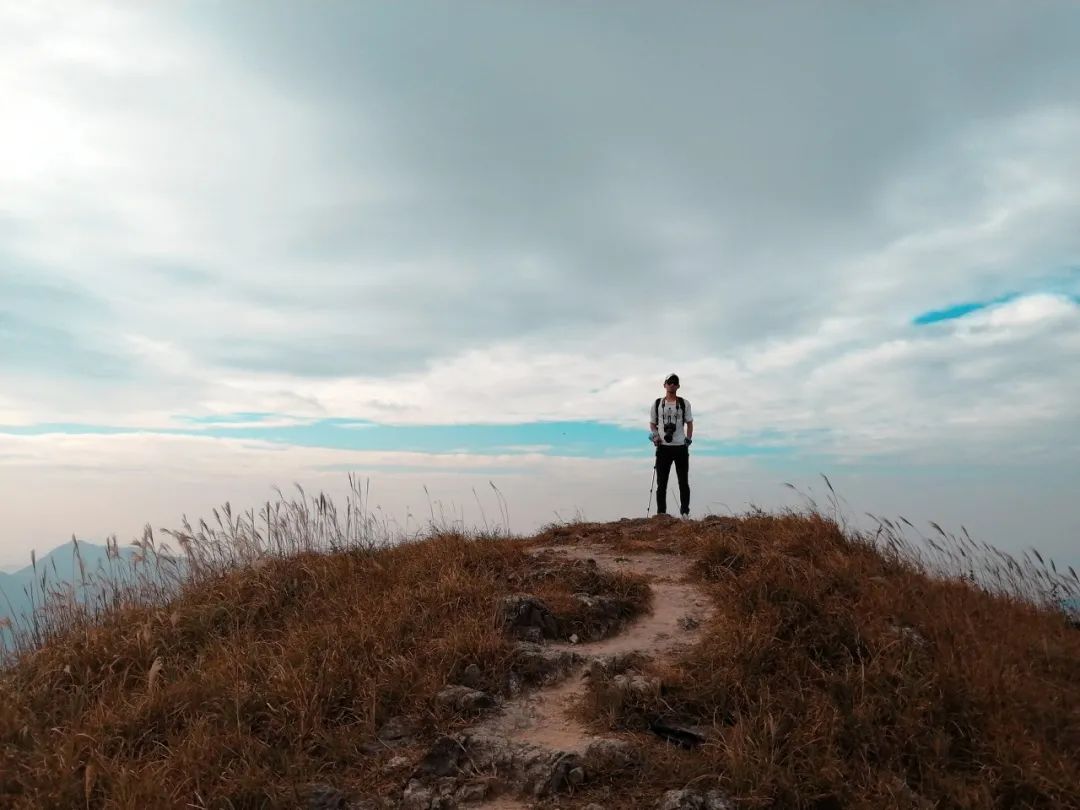 鍖楀ぇ鎶㈣鐜板満,娓呭崕鍖楀ぇ鎶㈣