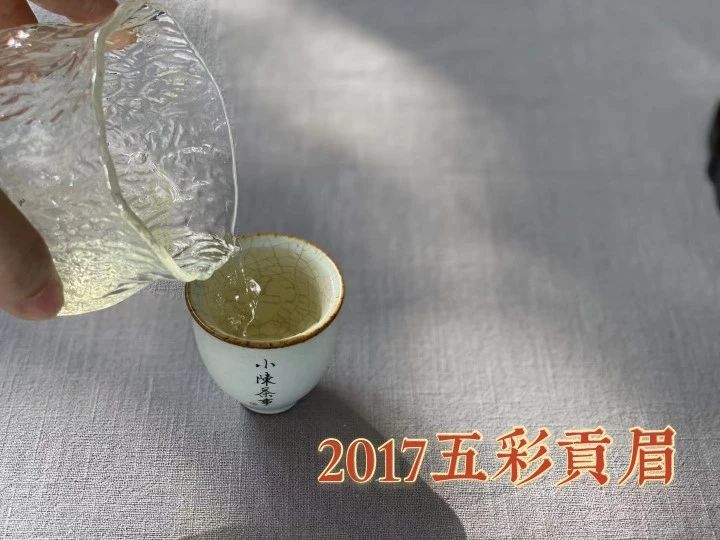 6大茶桌暗语介绍，何为回甘？何为醇厚？何为生津，一次说清