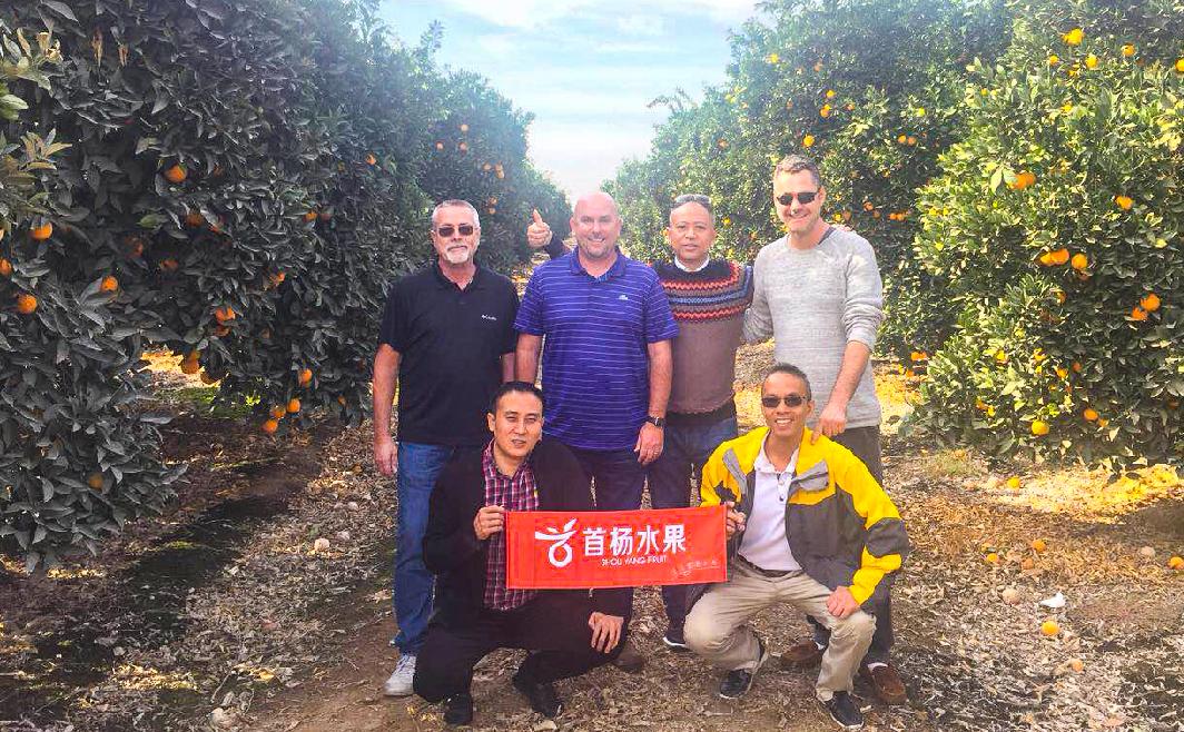 开水果店加盟连锁店,小型水果加盟品牌推荐