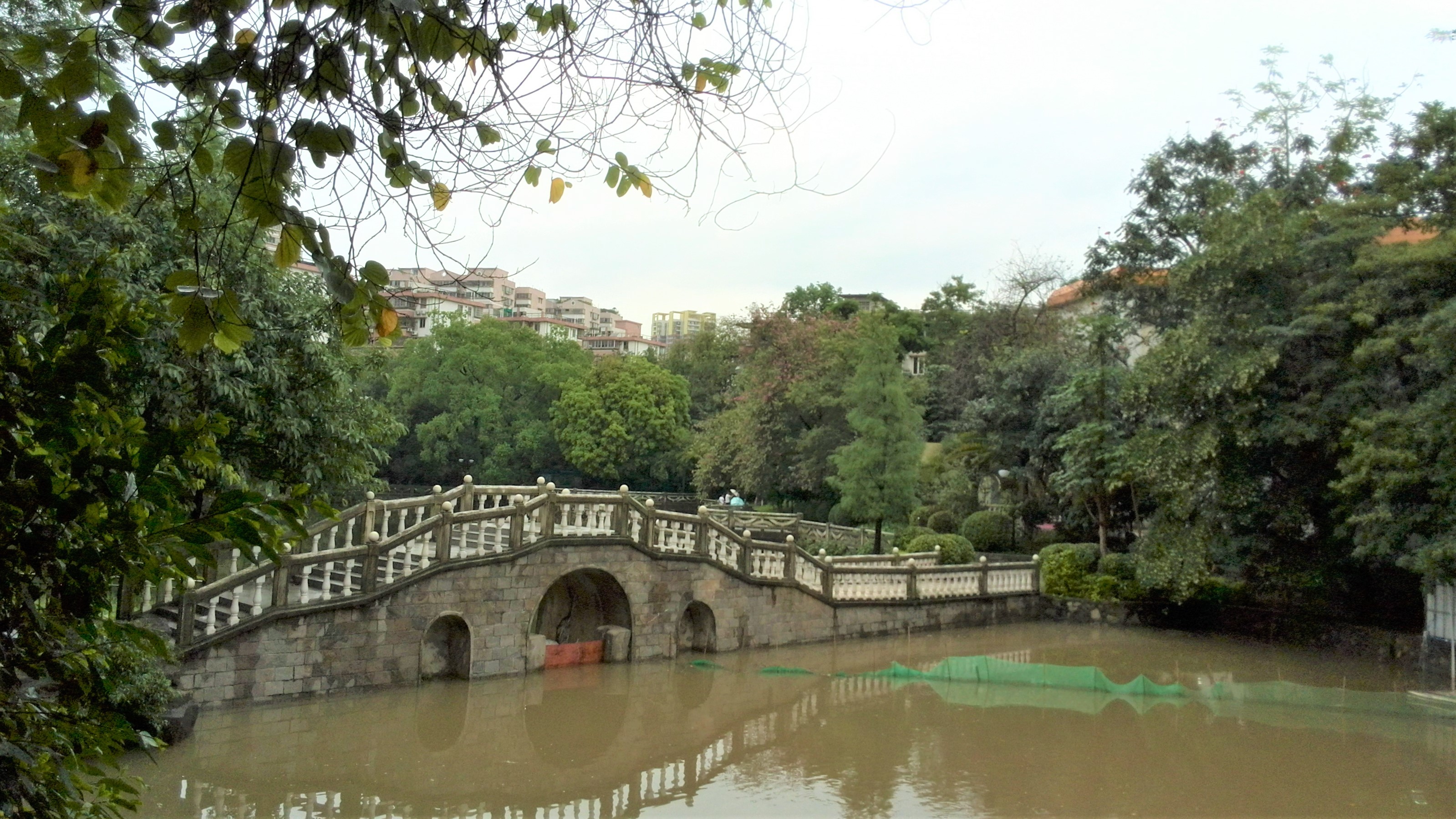 华南第一中山大学,中山大学广东人眼中的清华