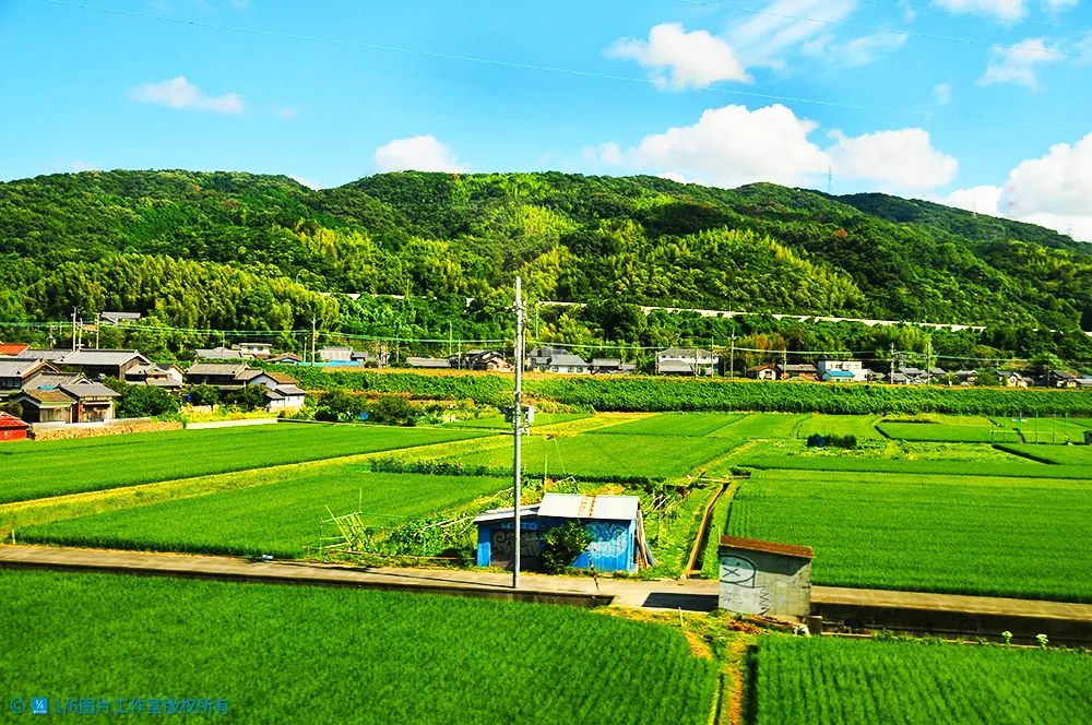 华高莱斯丨农业逆袭新思维——“粮袋子”如何变成“钱袋子”？