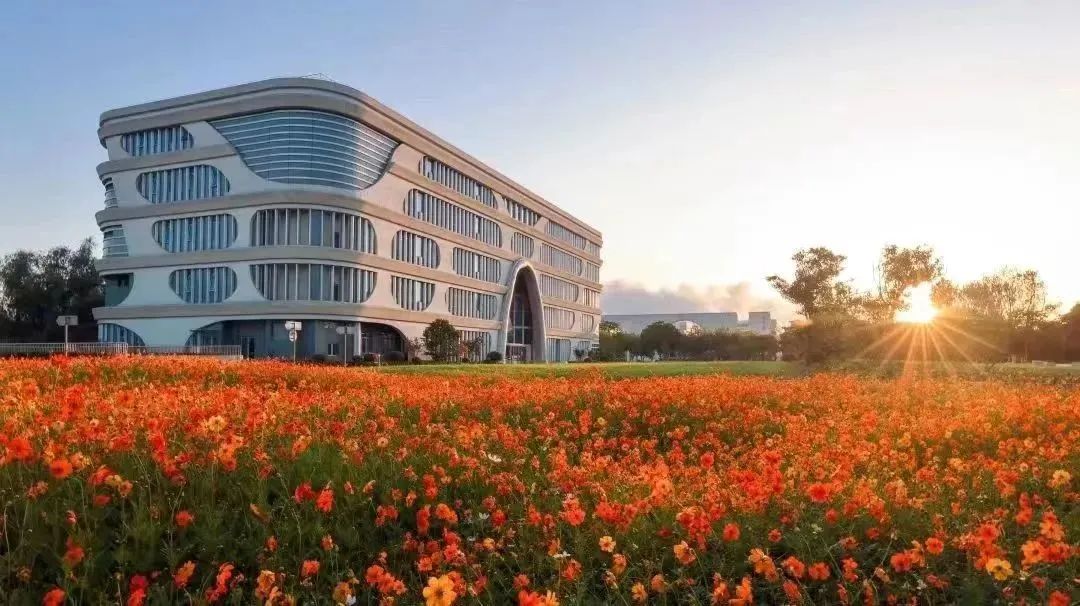 上海对外经贸大学2022届毕业生就业质量报告:留沪就业下降