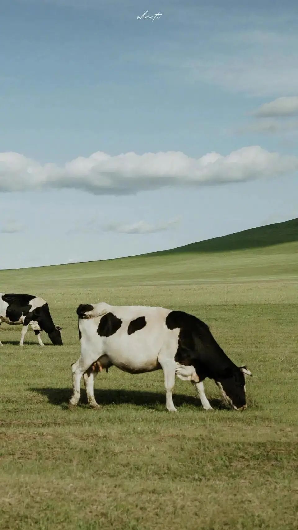 100张全屏绿色山水护眼壁纸,2021超清绿色护眼壁纸风景