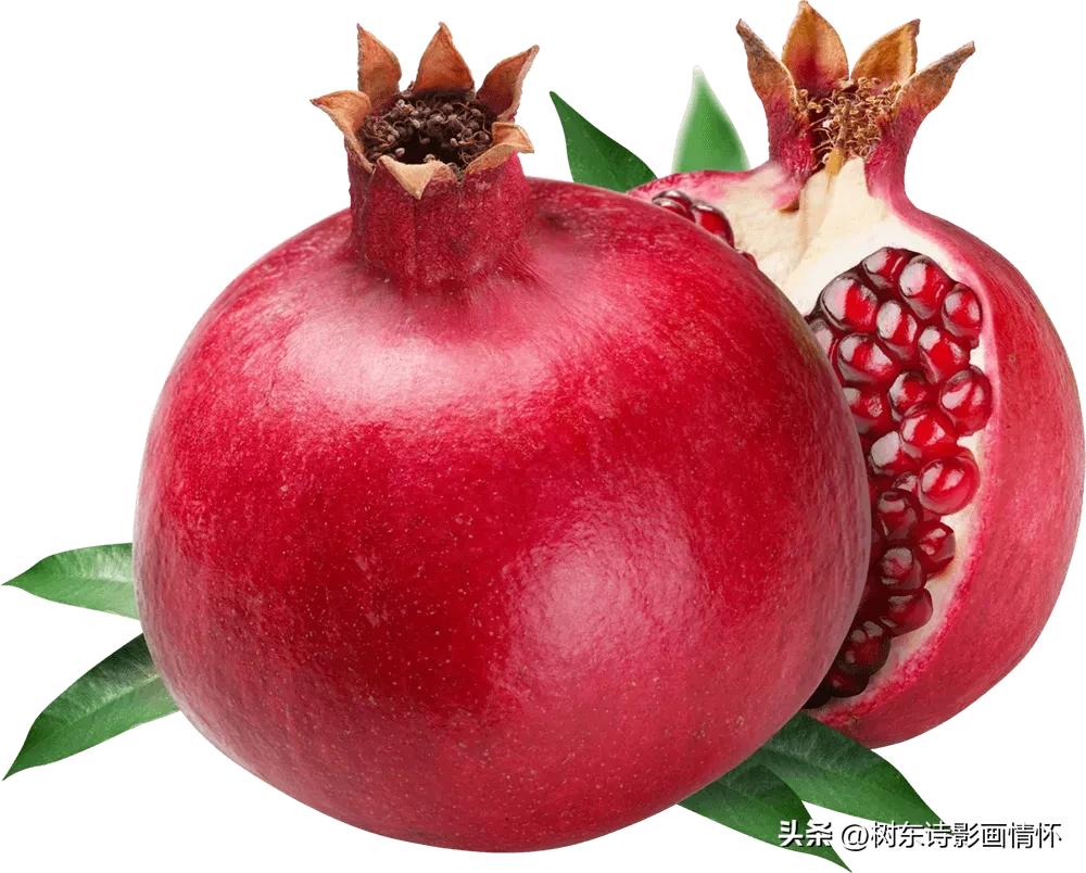 石榴文化的意义,石榴讲历史
