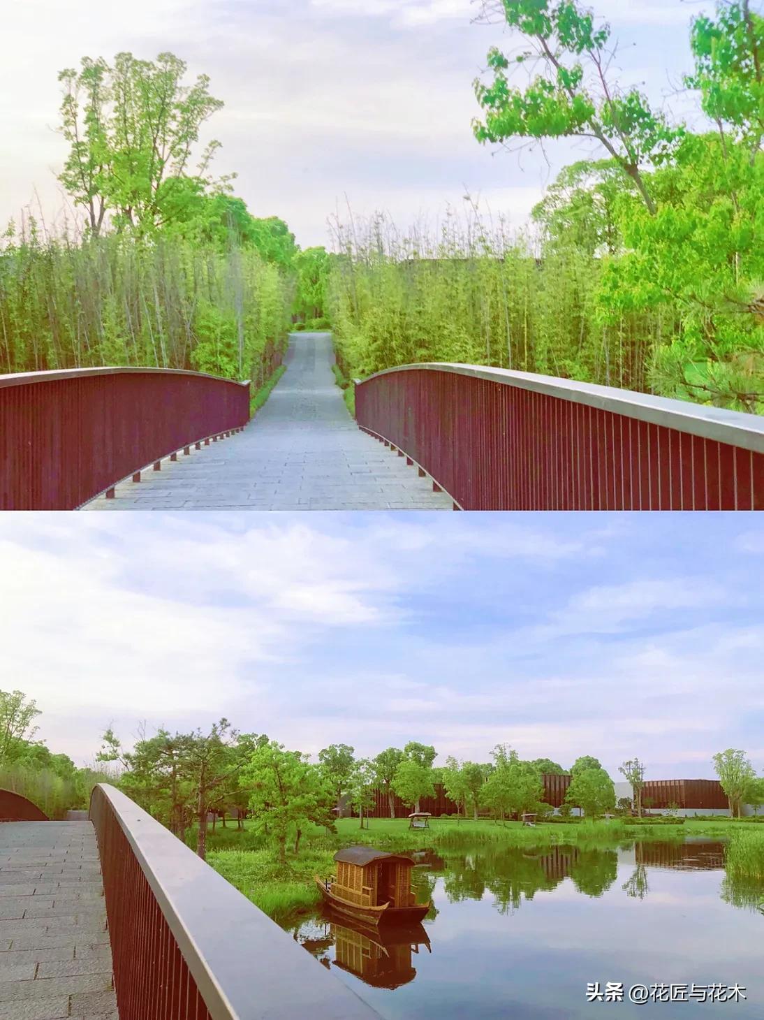 养云安缦上海云乡星愿,养云安缦·发现之旅·奔赴春天