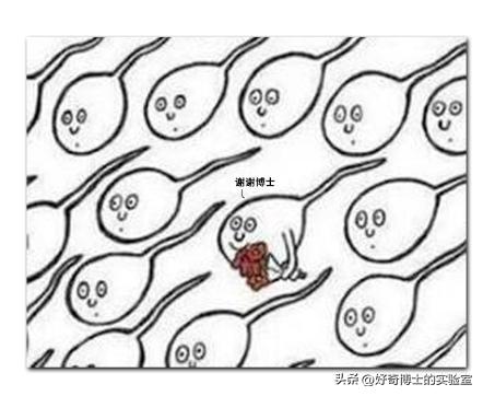 为了延长时间,同房时忍着不射有用吗?对身体会造成哪些影响?