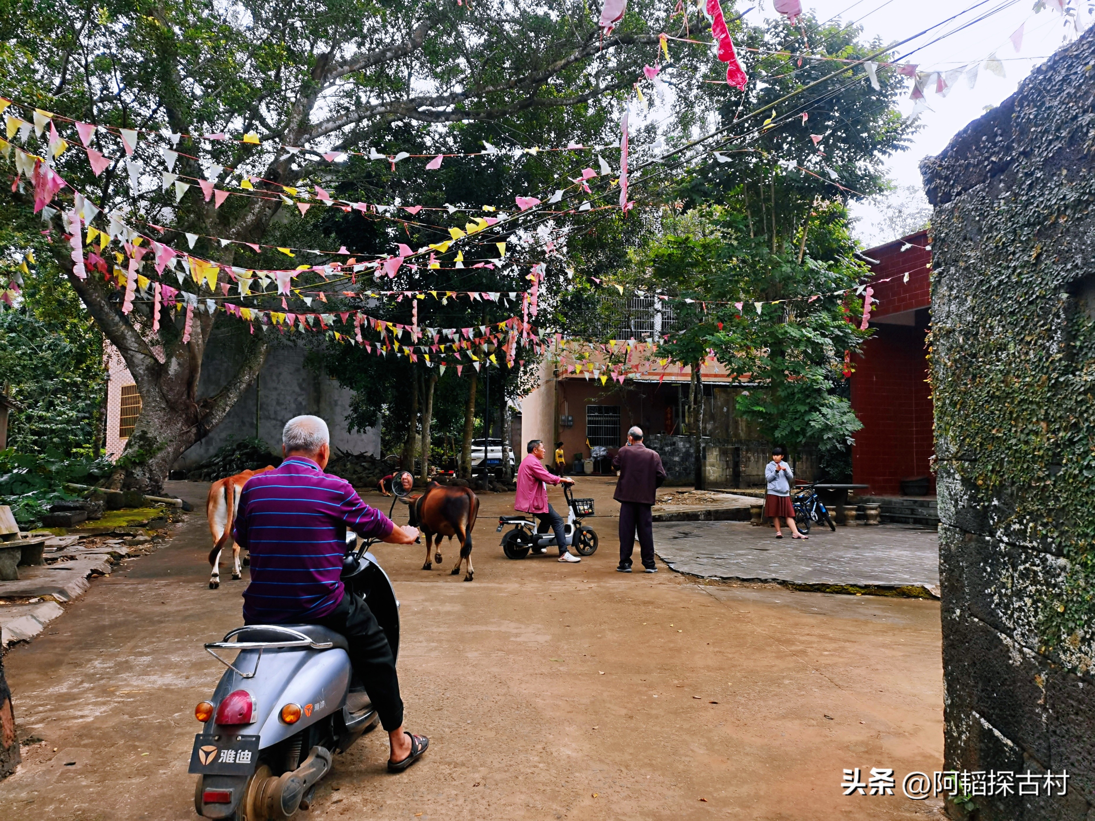 海口的千年古村,海口市四大历史文化古村