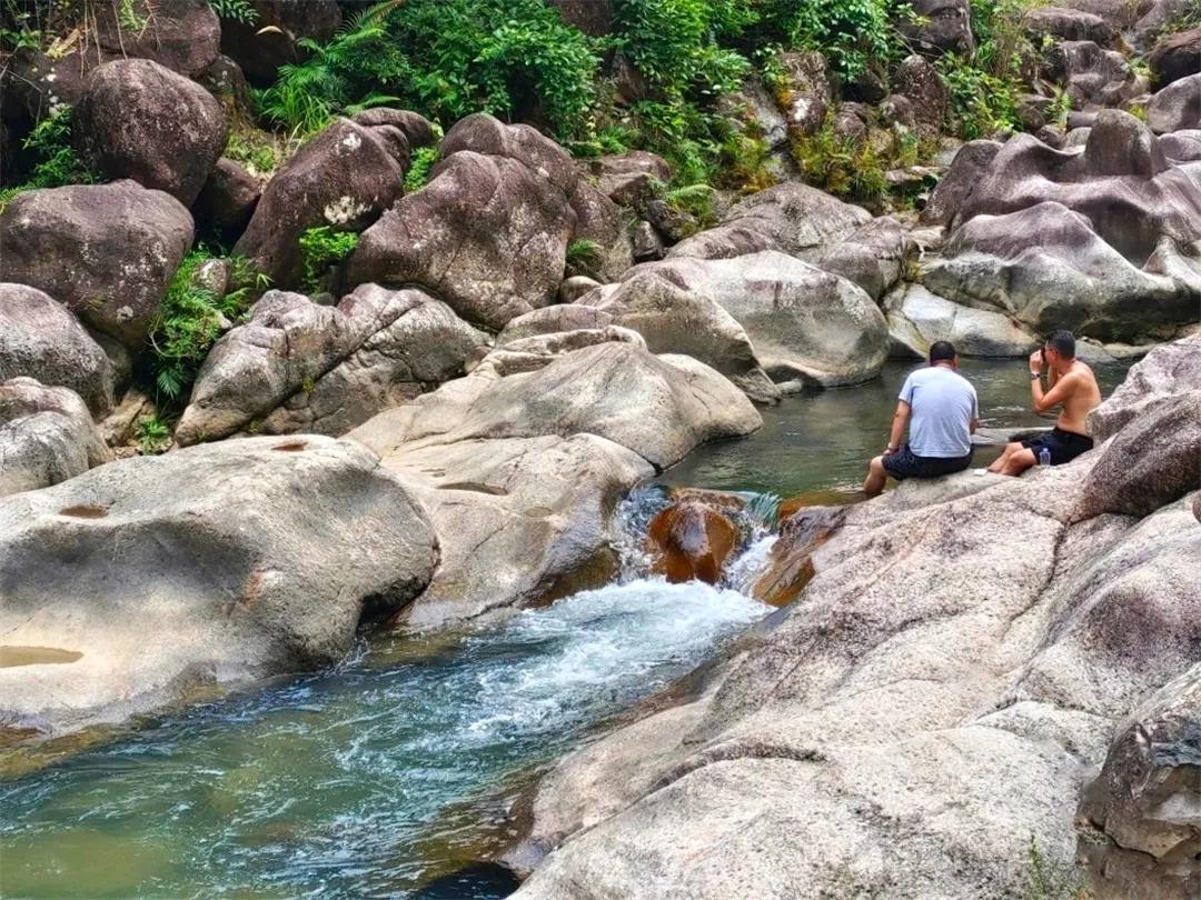 从化草埔村荷花游记,从化小杉村游玩攻略油菜花