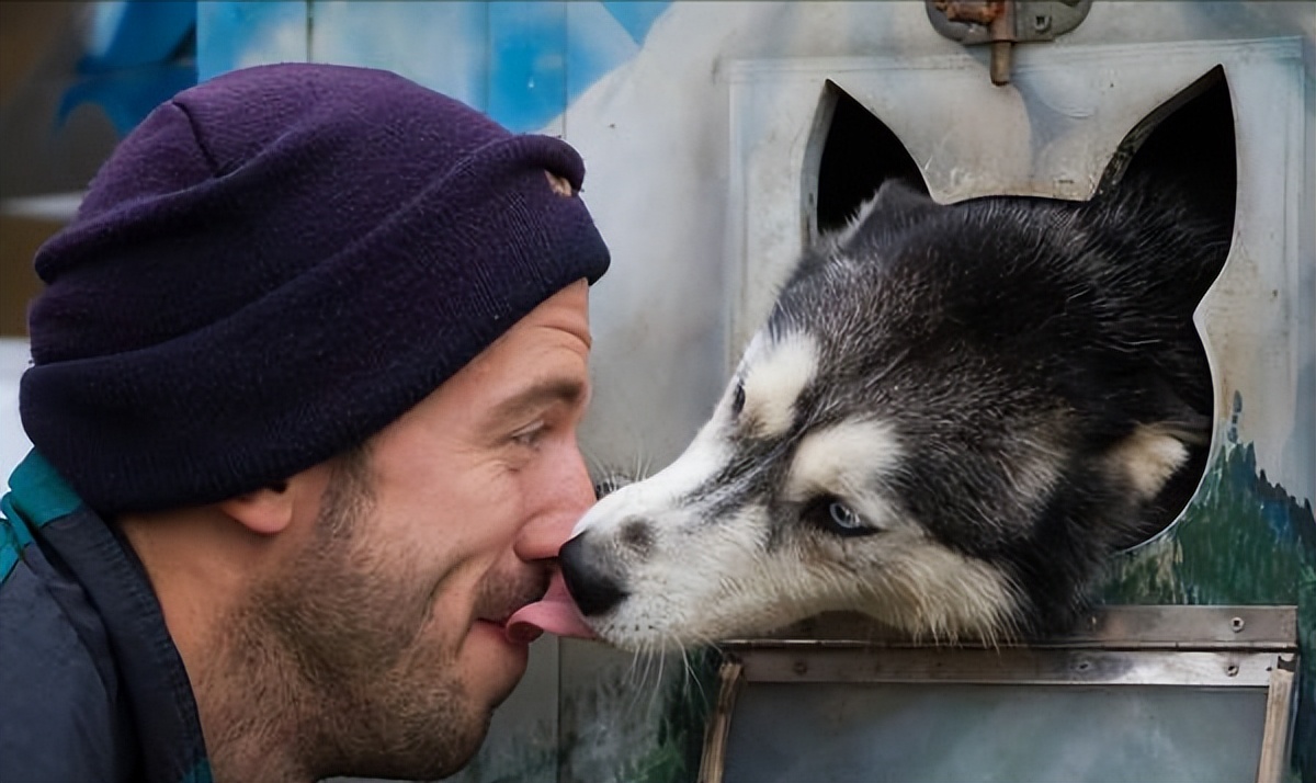 狗狗喜欢舔人是什么原因呢,狗狗总是舔爪子是什么原因