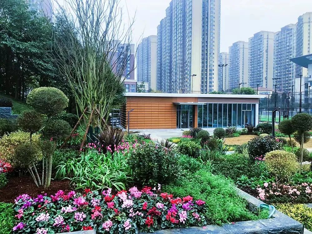 幸福成都美丽家园,幸福成都成就梦想