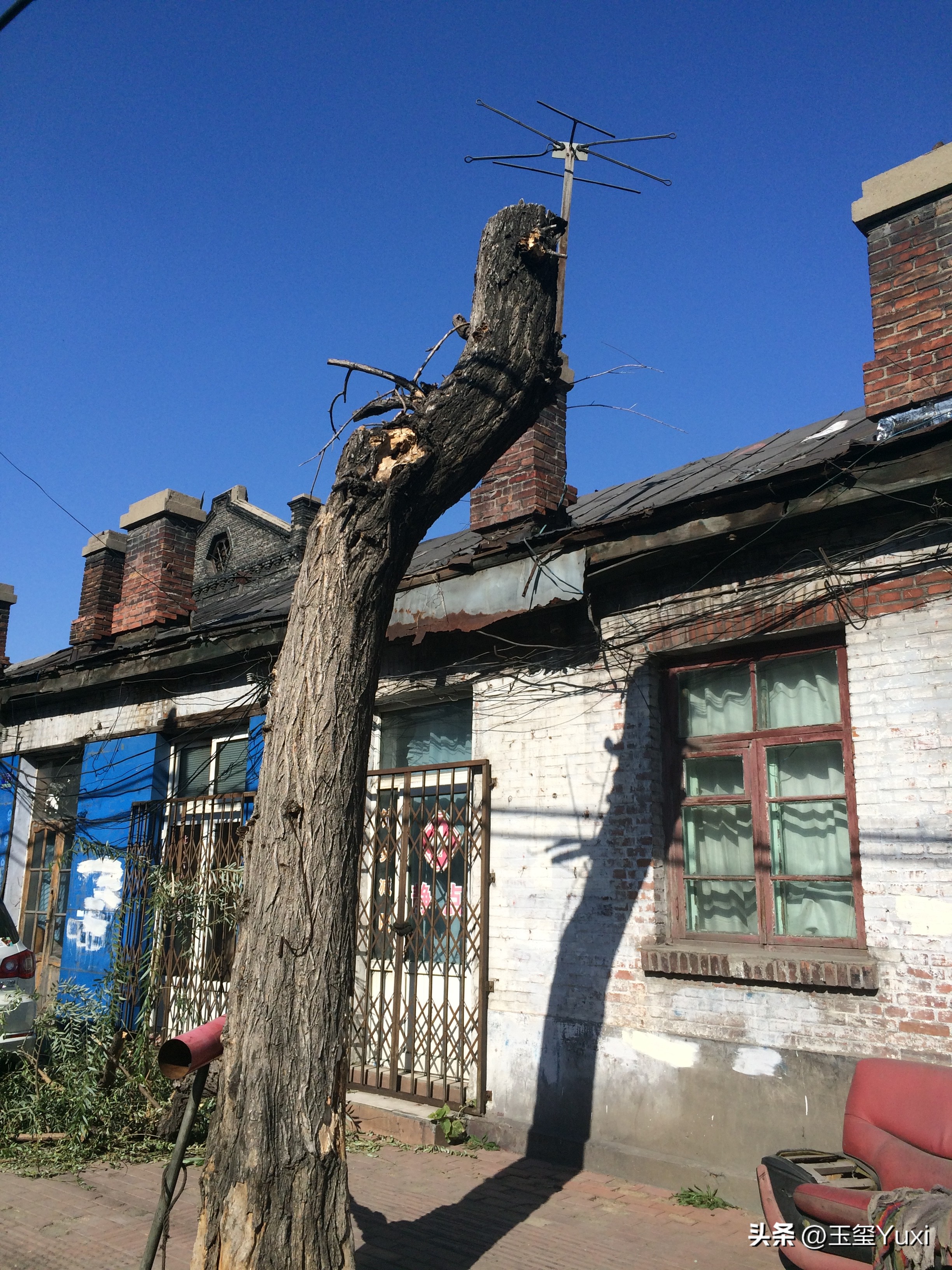 哈尔滨2005年真实故事改编,哈尔滨南岗是道里还是道外